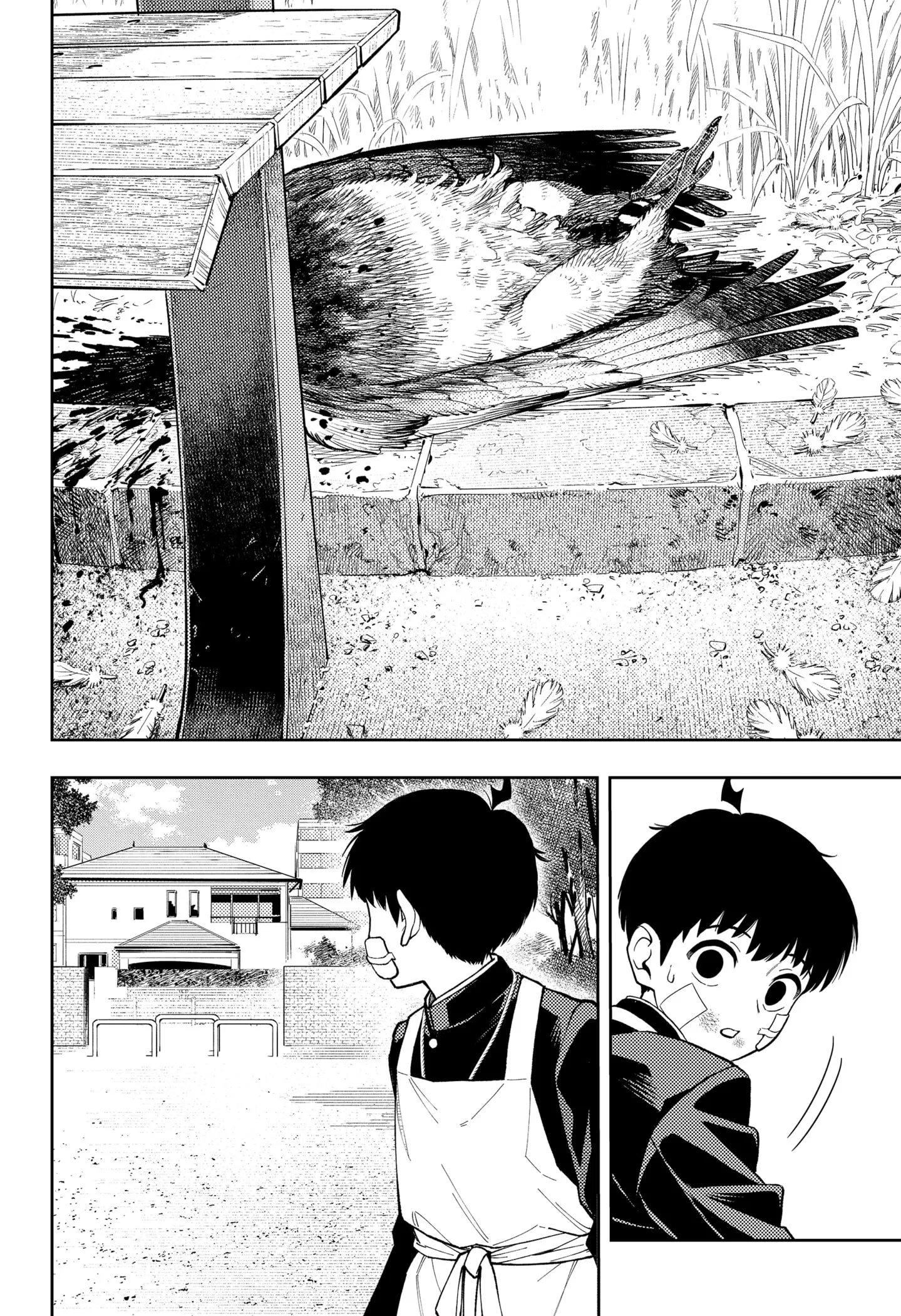 Read Asura's Verdict AR Manga Online