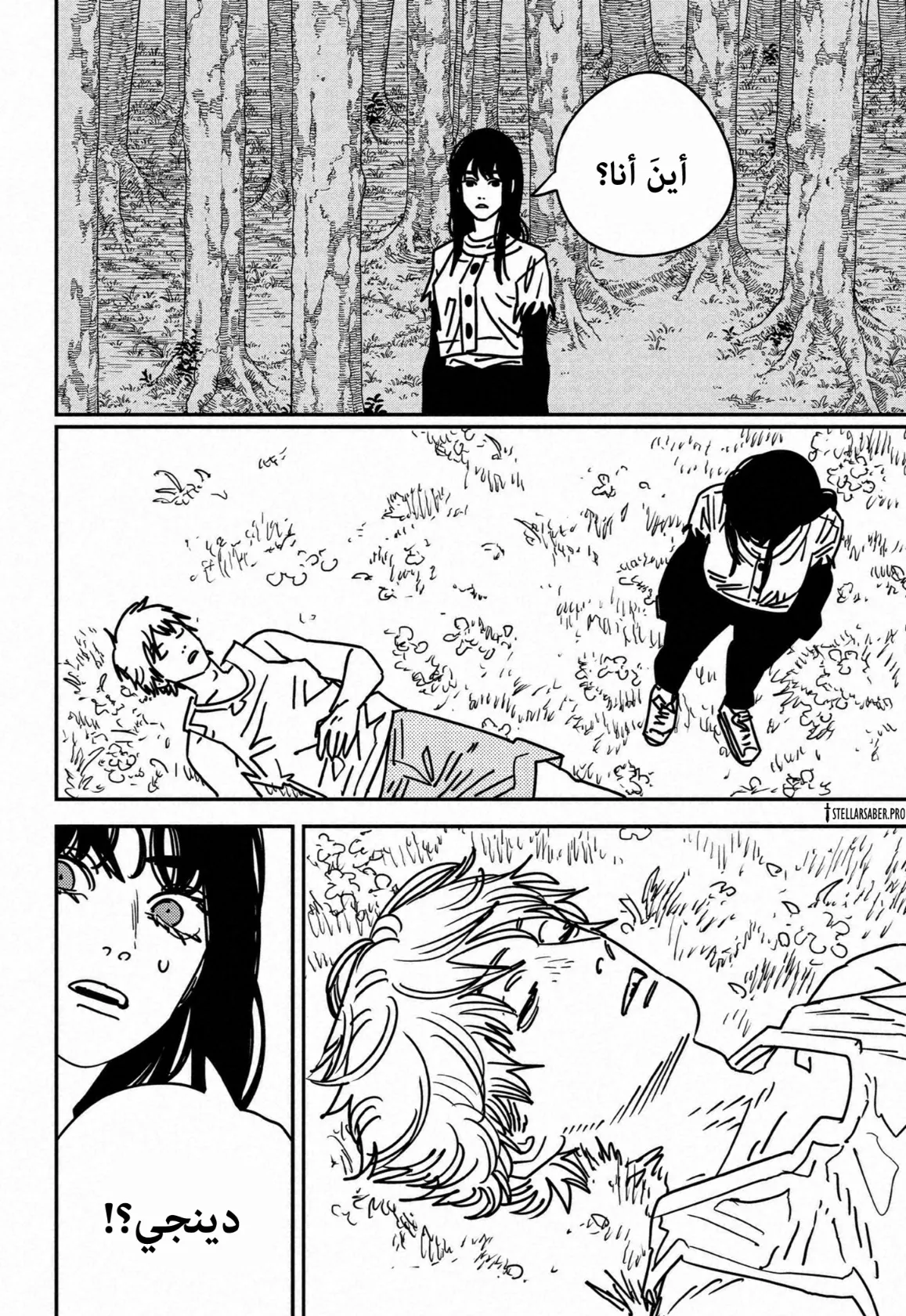 Read Chainsaw Man AR Manga Online