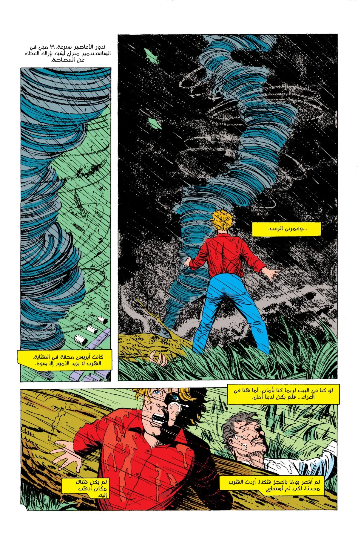 Read Flash: Born To Run AR Manga Online