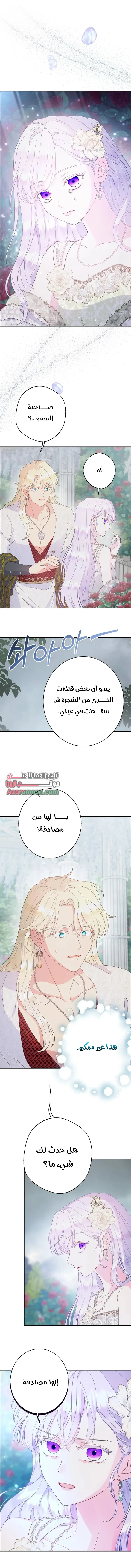 Read Forget My Husband, I’ll Go Make Money AR Manga Online