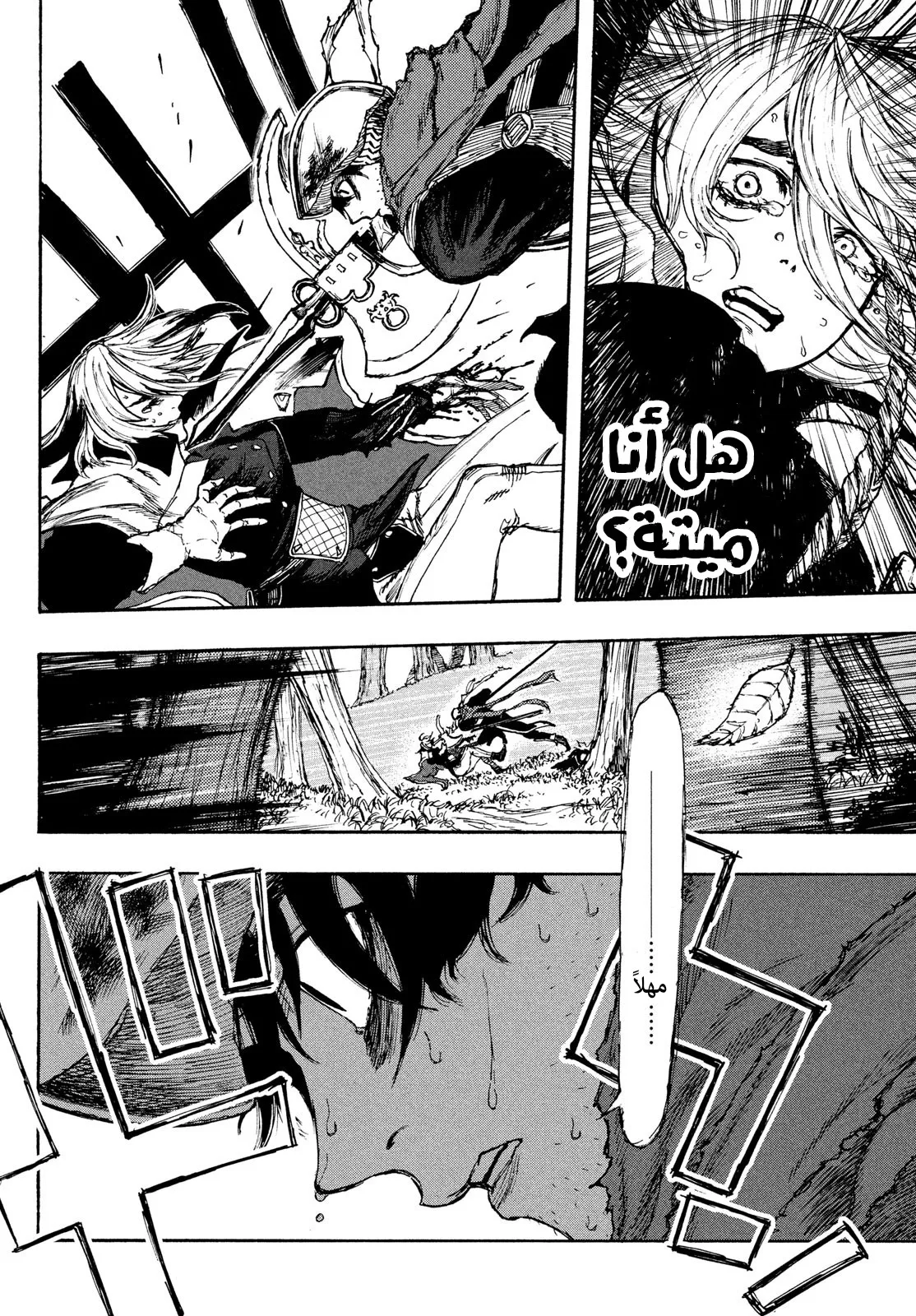 Read Highserk Senki AR Manga Online