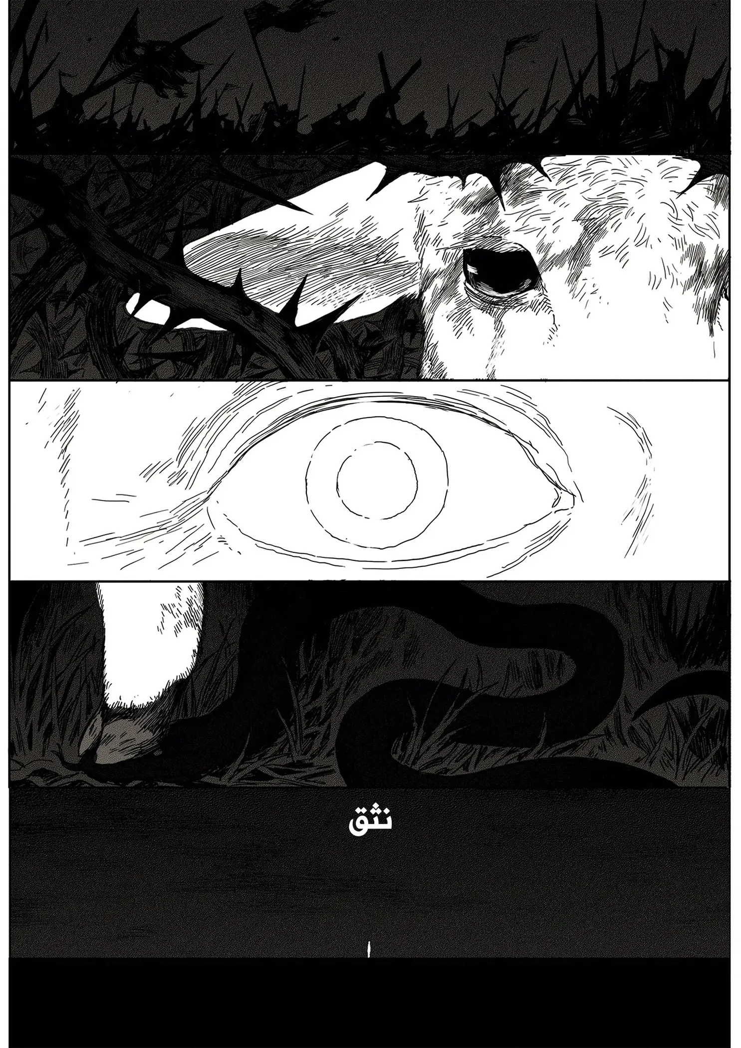 Read The Horizon AR Manga Online