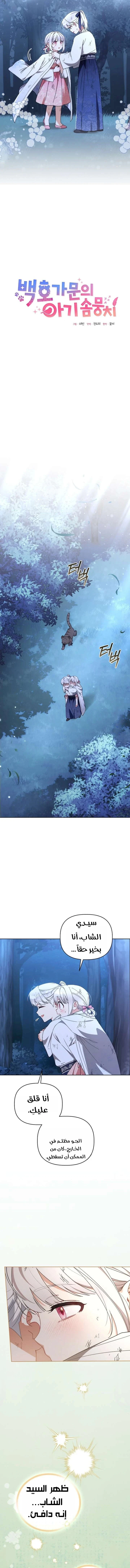 Read The White Tiger Clan’s Baby Cotton Ball AR Manga Online