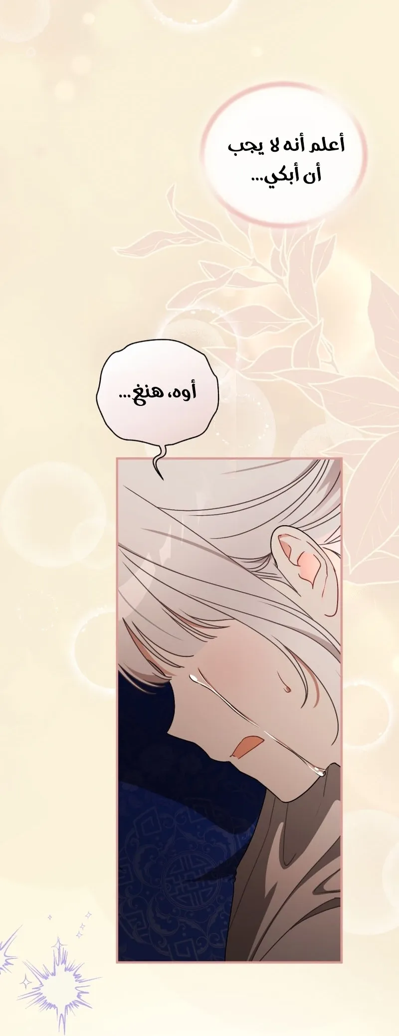 Read The White Tiger Clan’s Baby Cotton Ball AR Manga Online