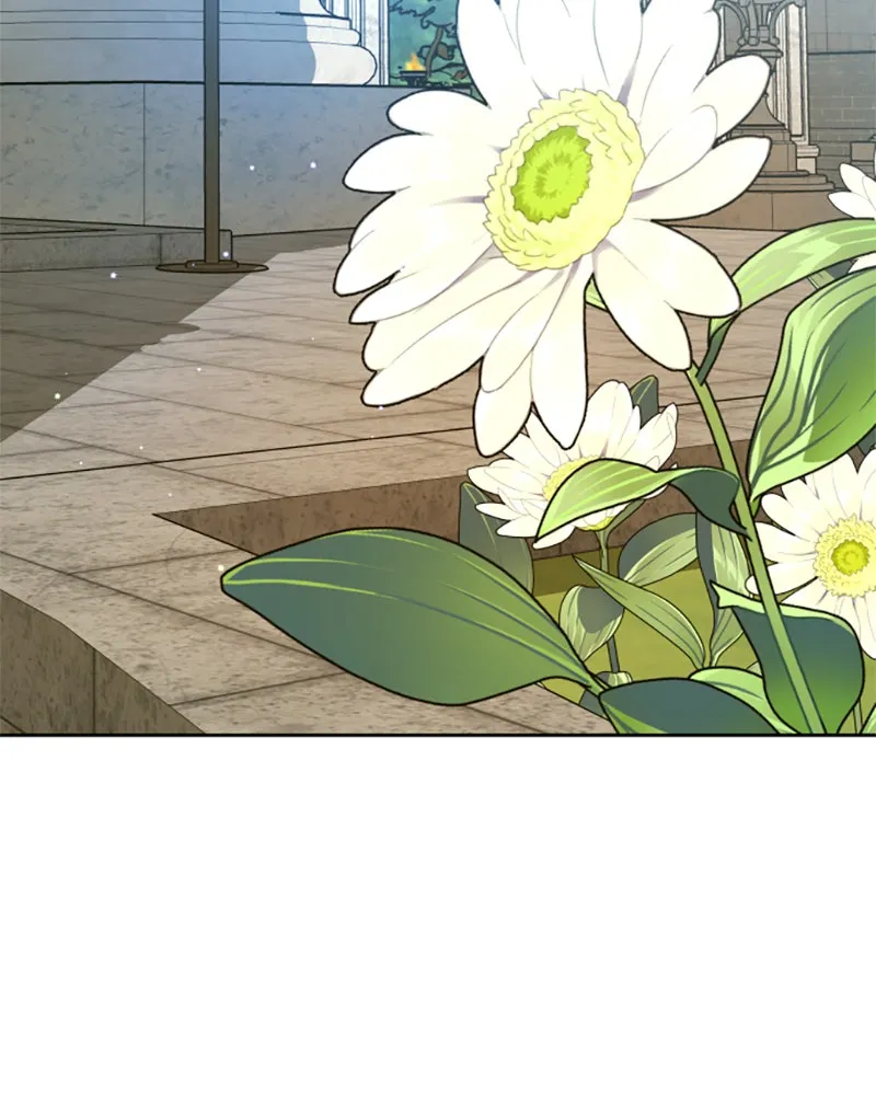 Read Dein Thron DE Manga Online