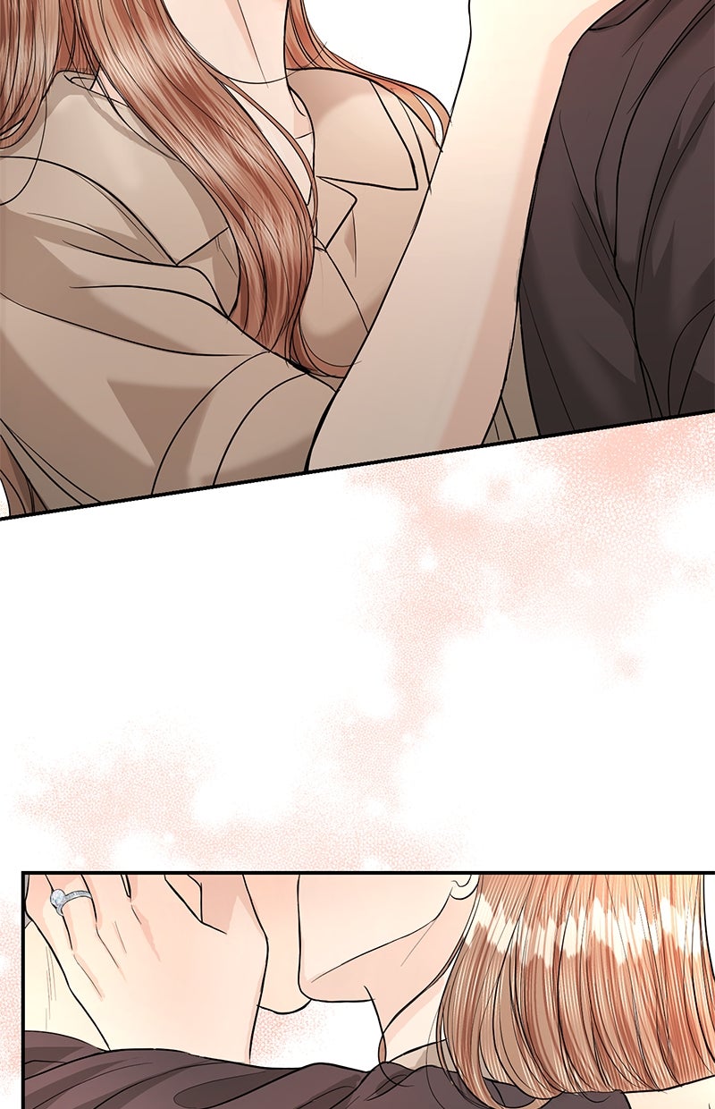 Read Perfect Marriage Revenge DE Manga Online