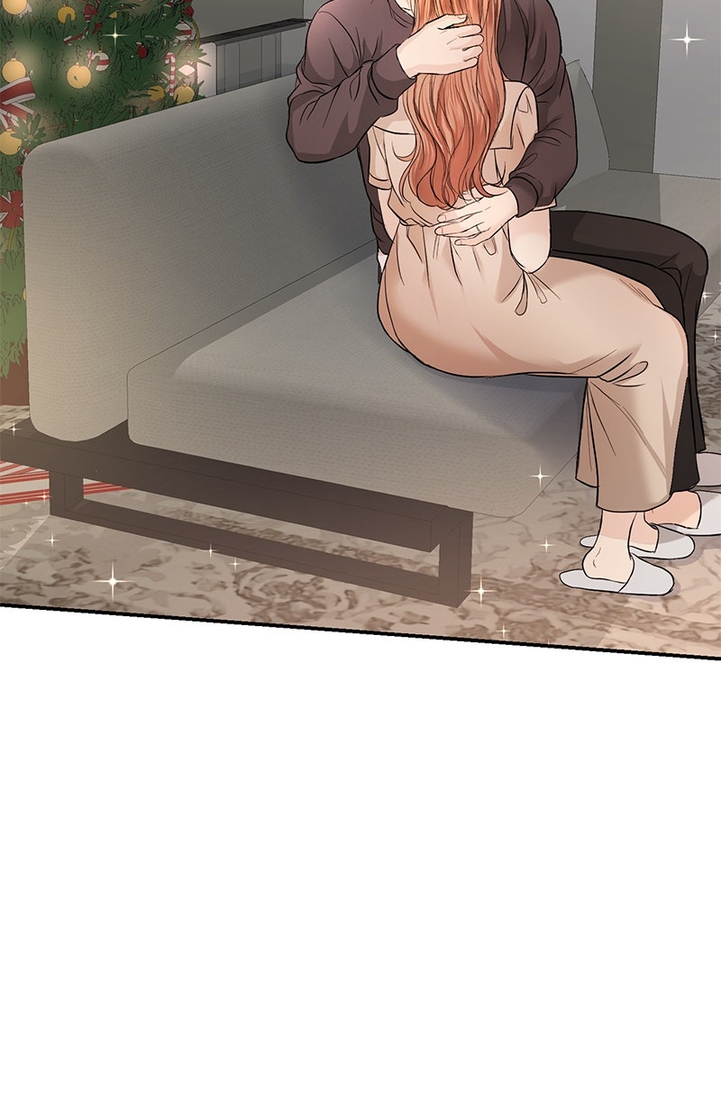 Read Perfect Marriage Revenge DE Manga Online