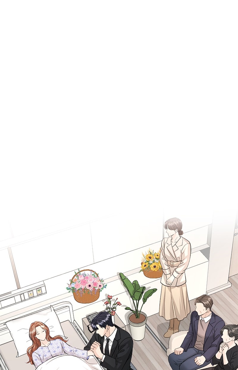 Read Perfect Marriage Revenge DE Manga Online