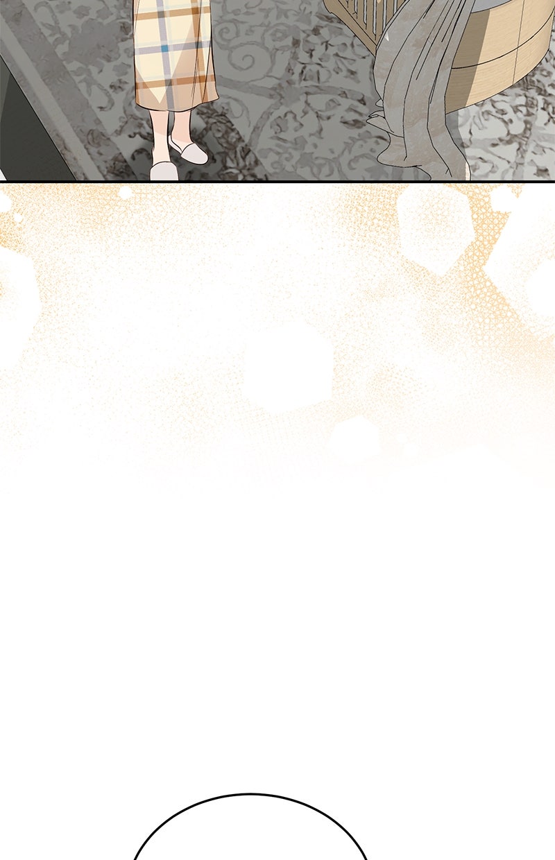 Read Perfect Marriage Revenge DE Manga Online