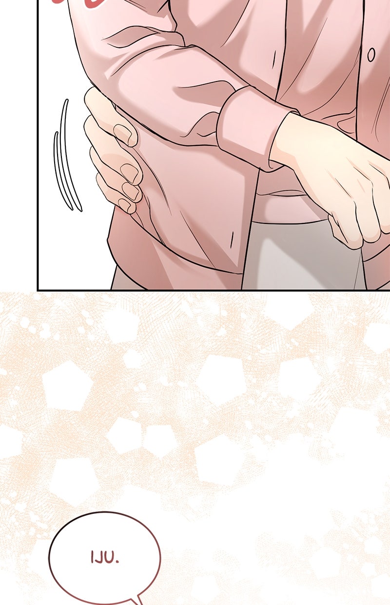 Read Perfect Marriage Revenge DE Manga Online