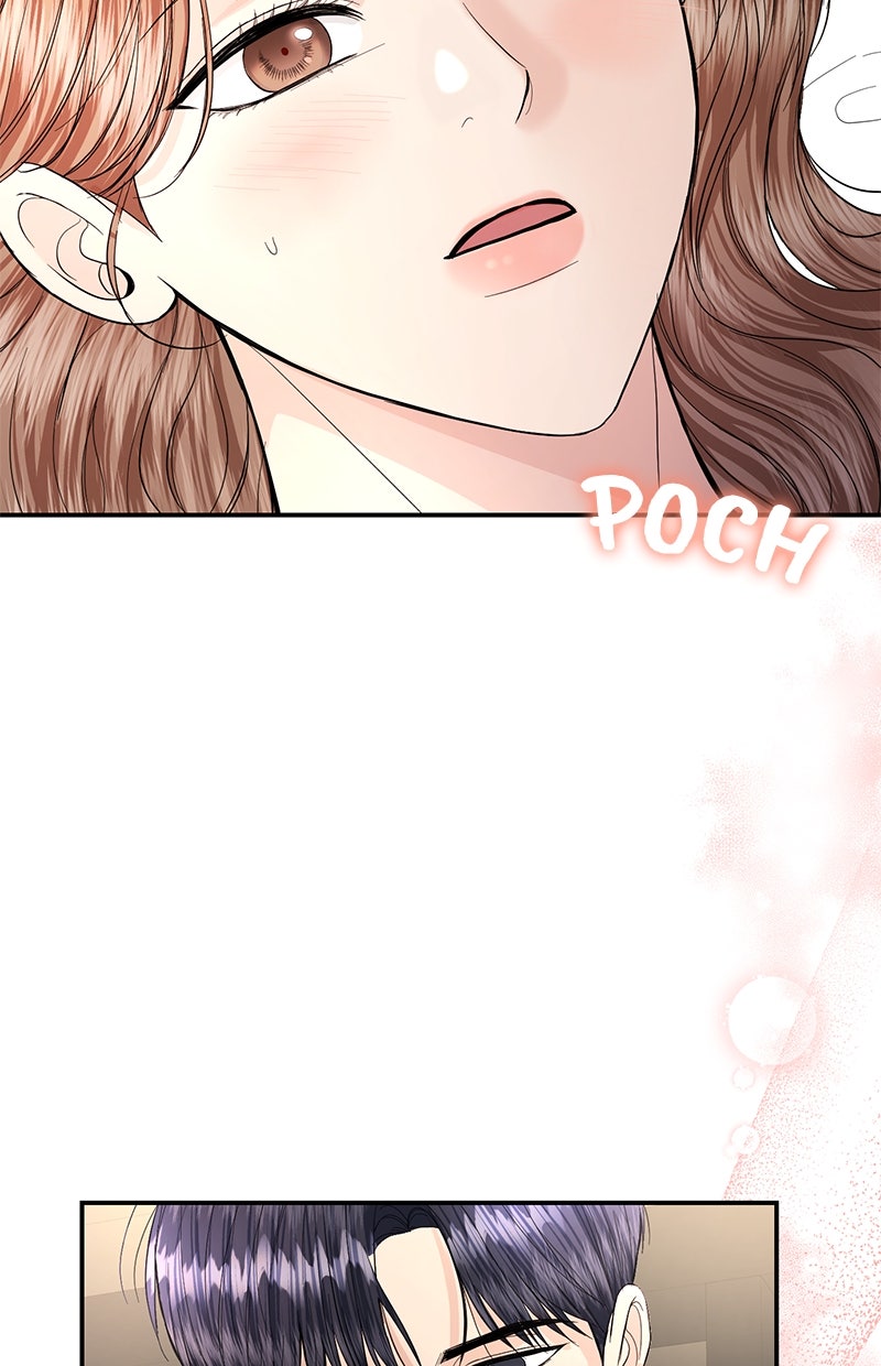 Read Perfect Marriage Revenge DE Manga Online