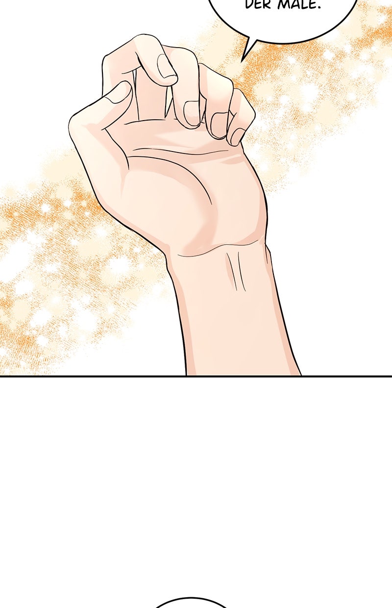 Read Perfect Marriage Revenge DE Manga Online