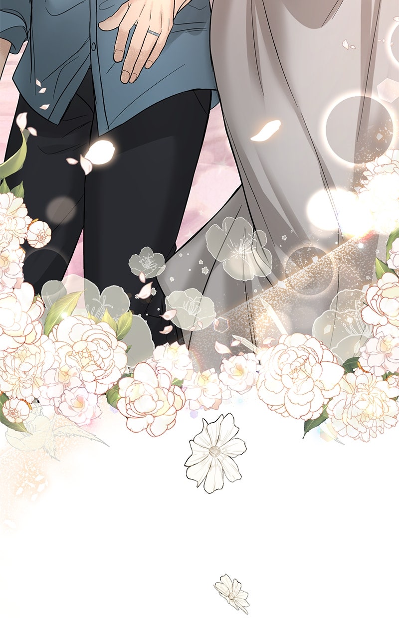 Read Perfect Marriage Revenge DE Manga Online