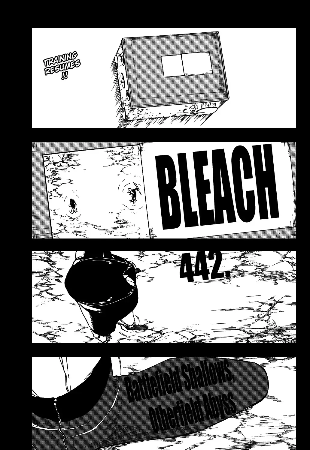 Read Bleach Manga Online
