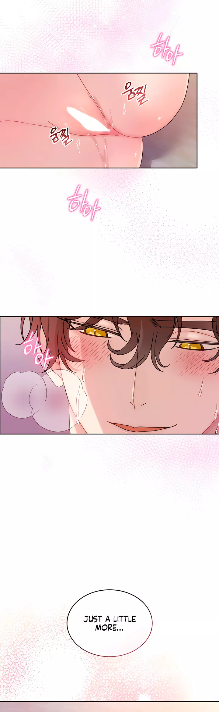 Read Doberman Manga Online