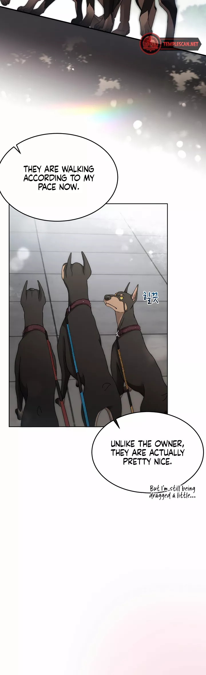 Read Doberman Manga Online