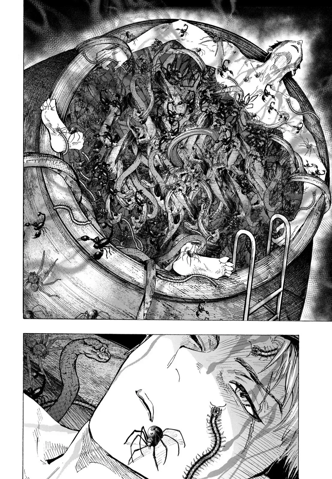 Read MARRIAGETOXIN Manga Online