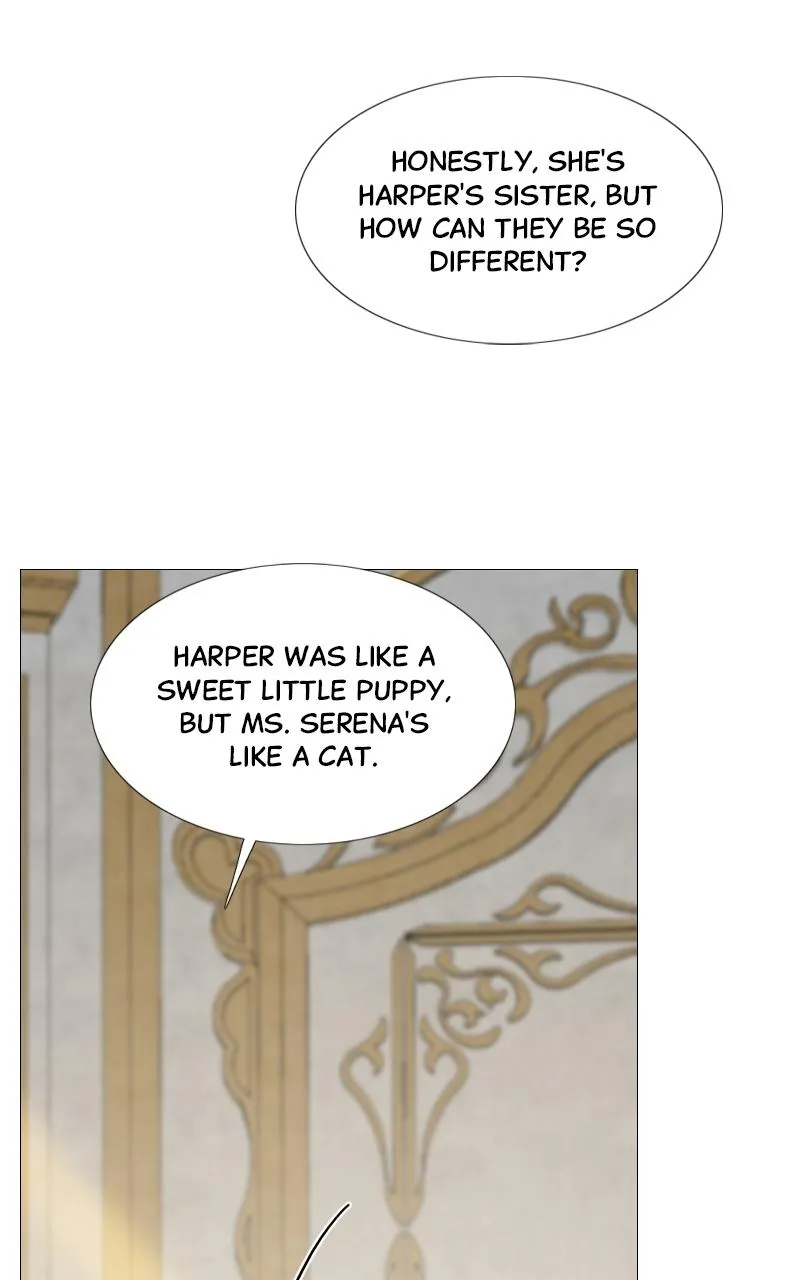 Read Serena Manga Online