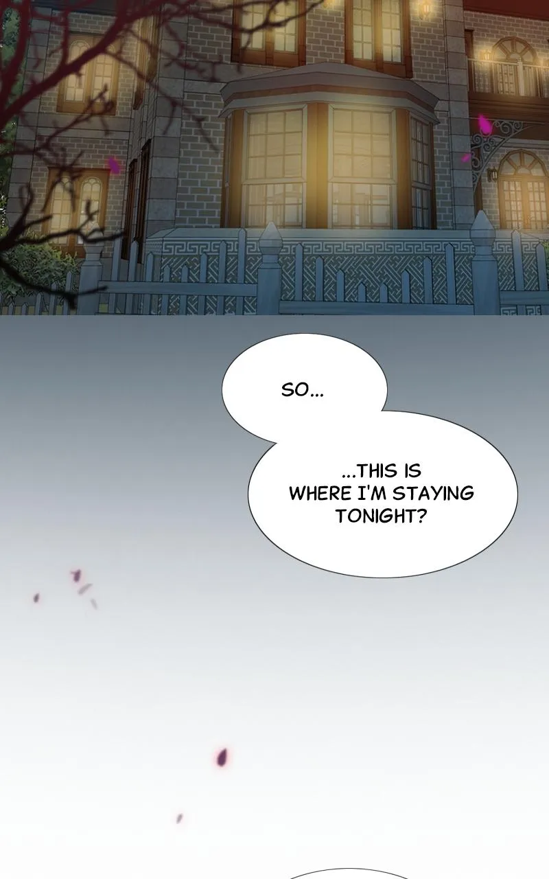 Read Serena Manga Online