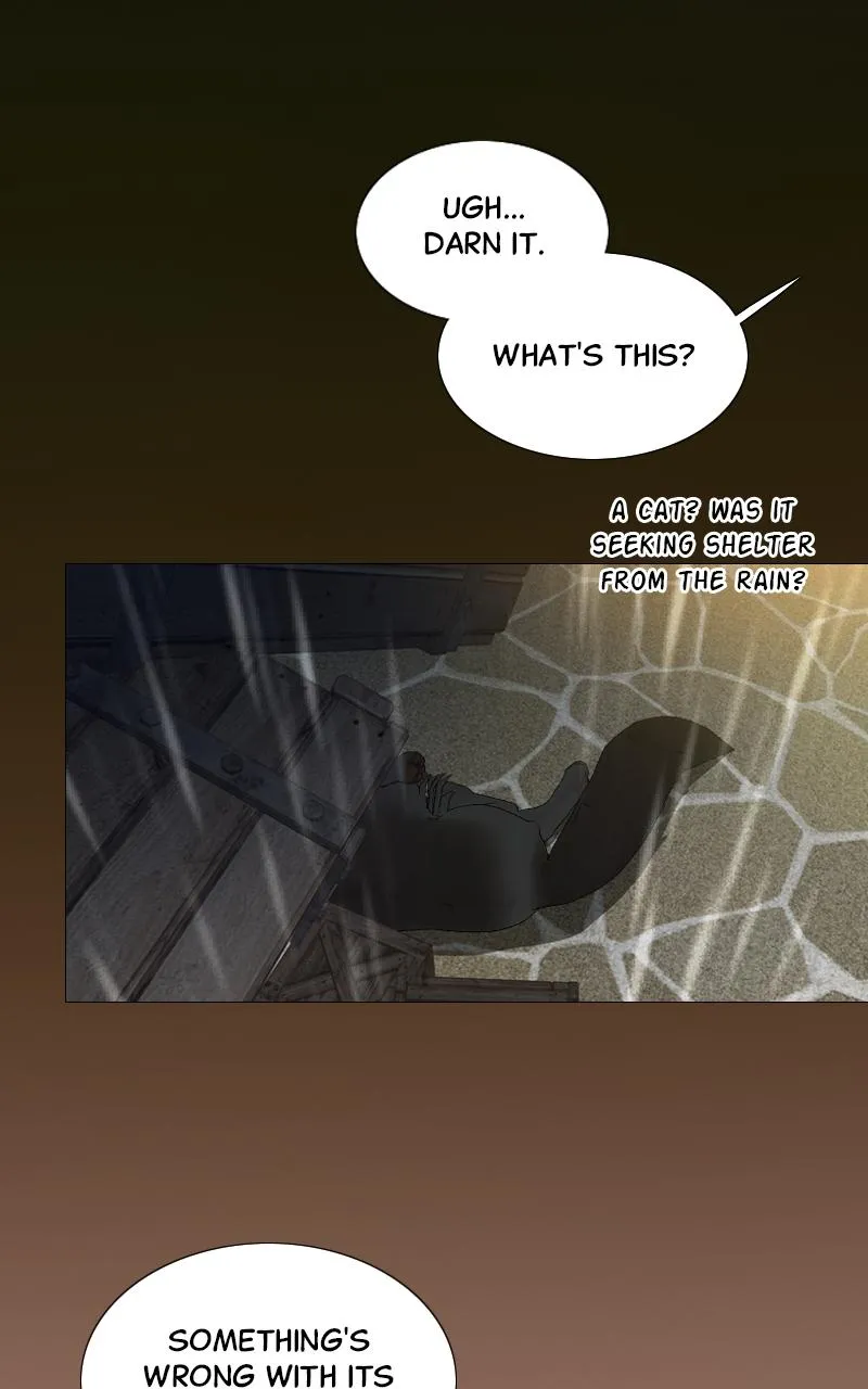 Read Serena Manga Online