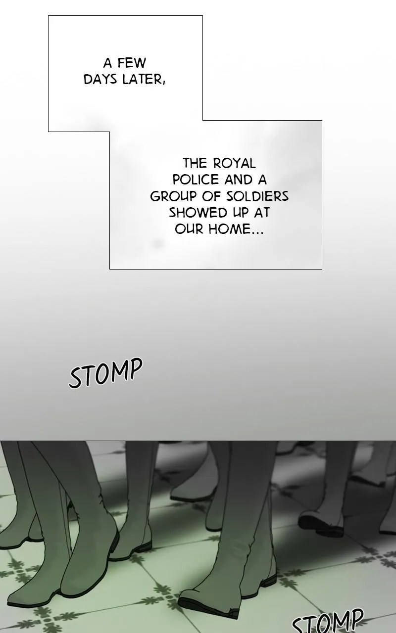 Read Serena Manga Online