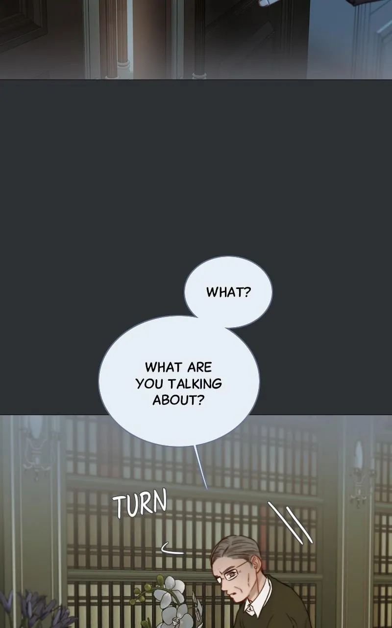 Read Serena Manga Online