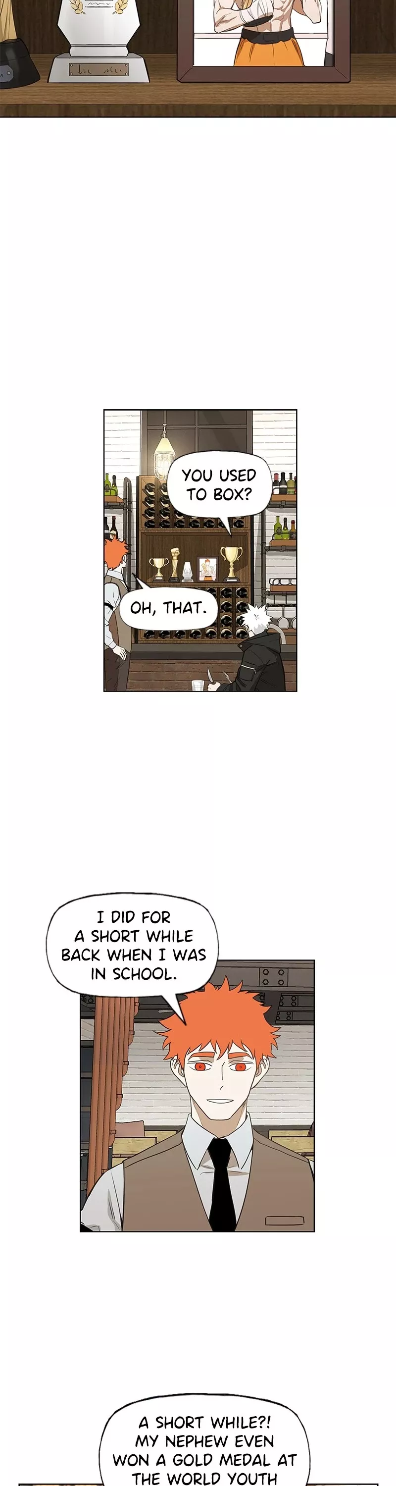 Read The Boxer Manga Online