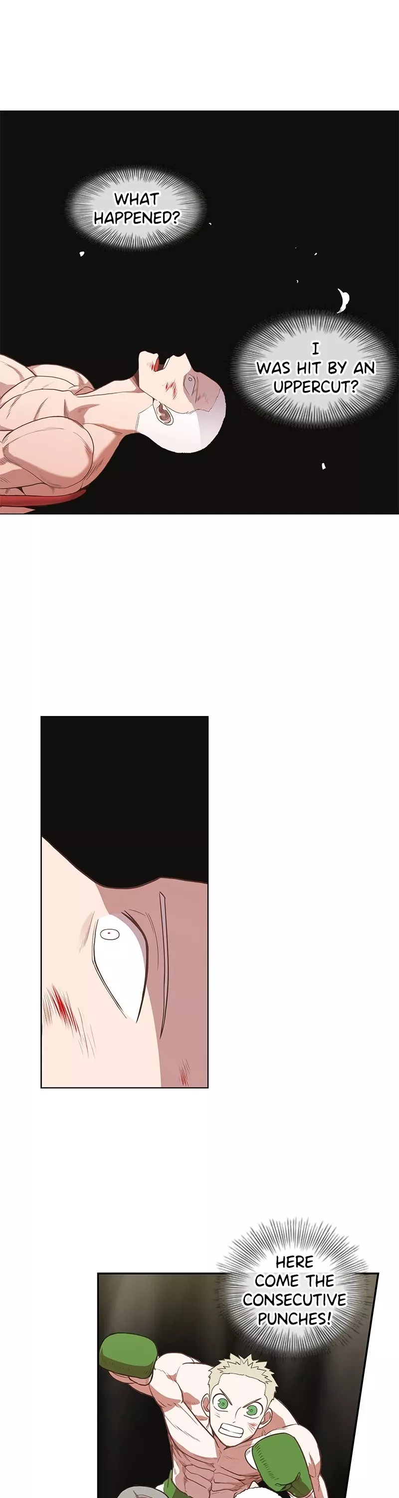 Read The Boxer Manga Online