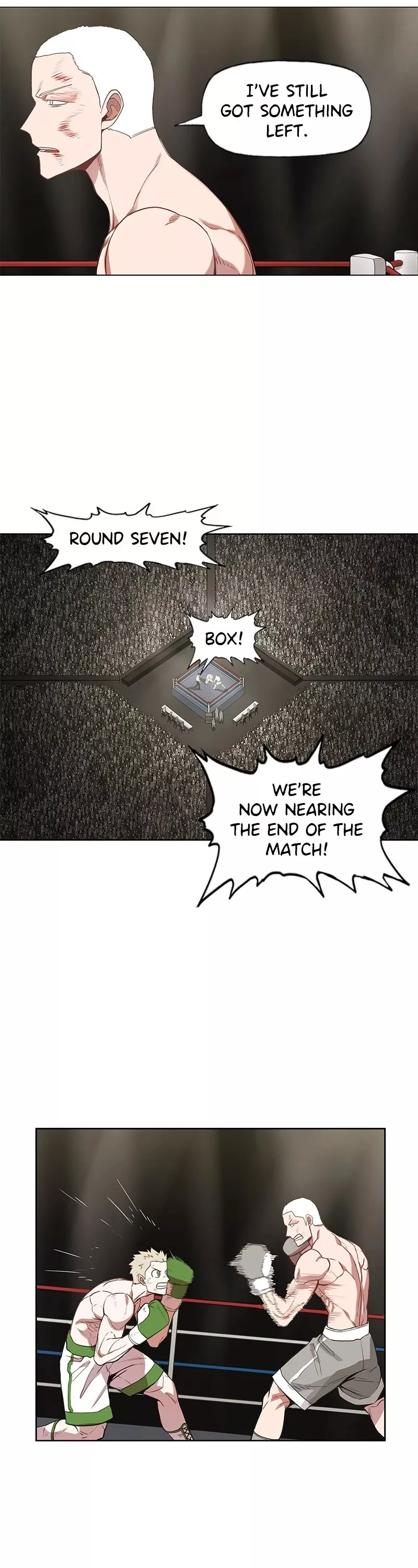 Read The Boxer Manga Online