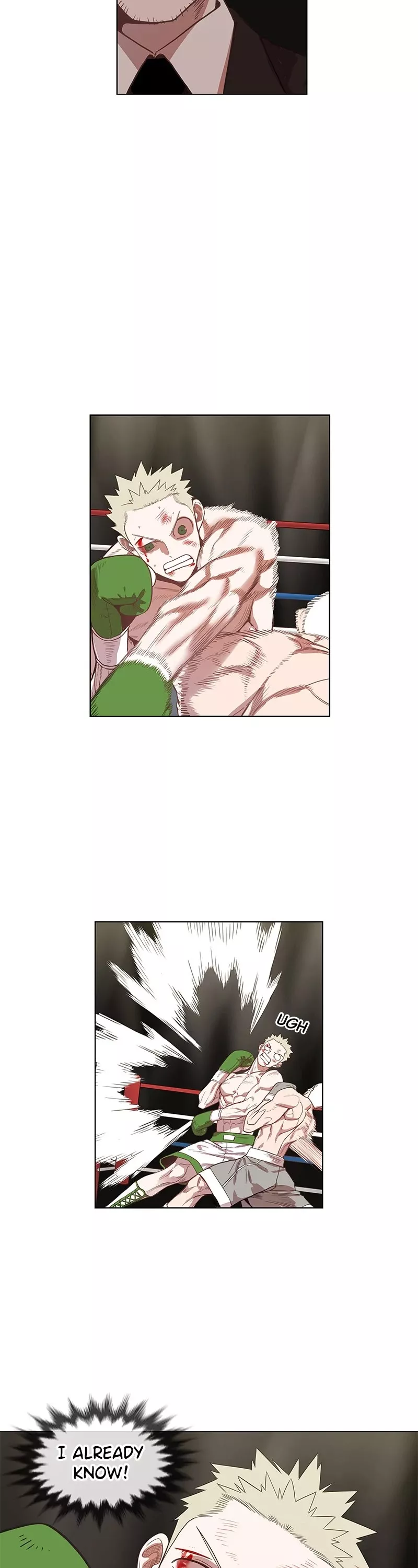 Read The Boxer Manga Online