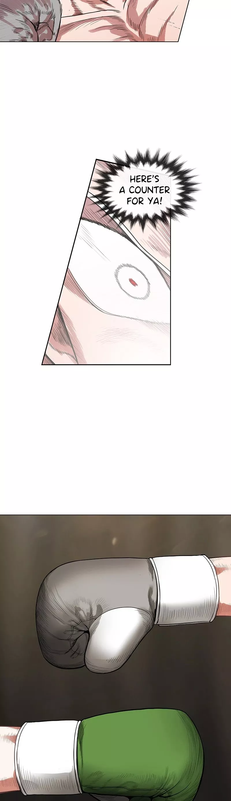 Read The Boxer Manga Online
