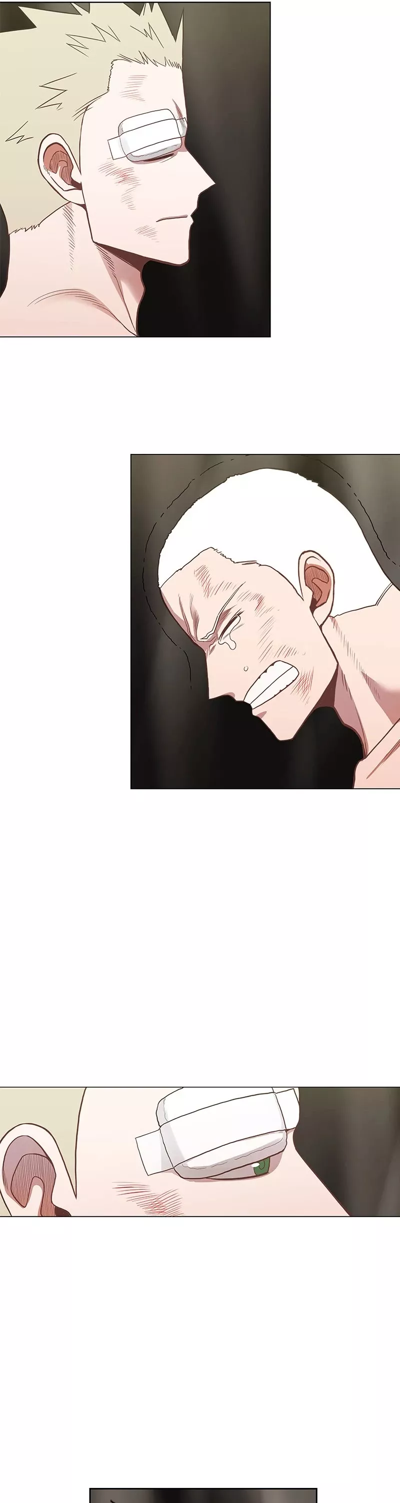 Read The Boxer Manga Online