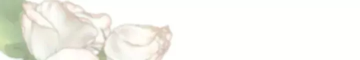 Read The Problematic Prince Manga Online