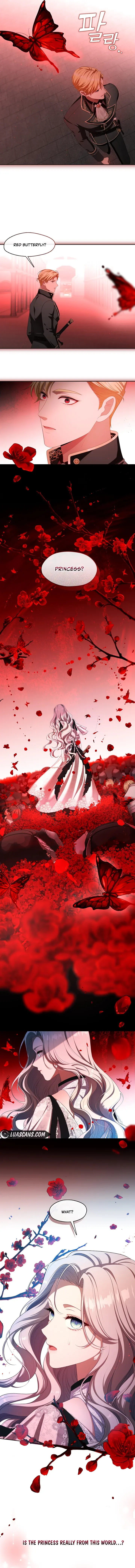Read The S-Class Lady Manga Online