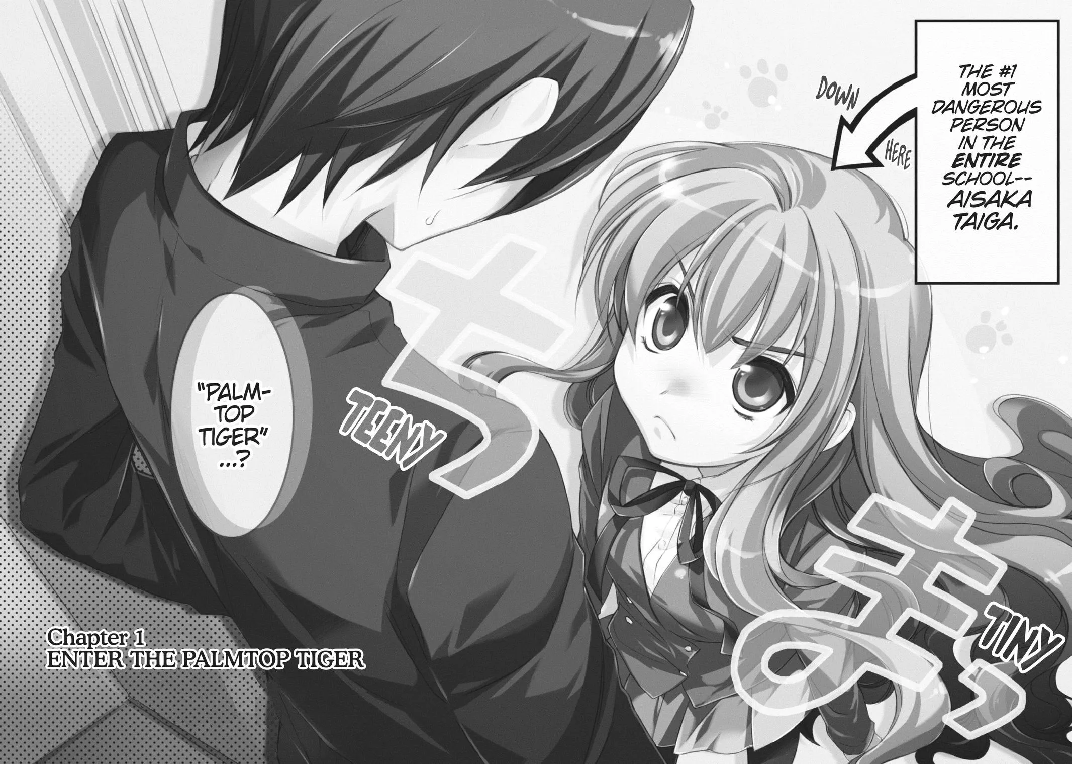 Read Toradora Manga Online
