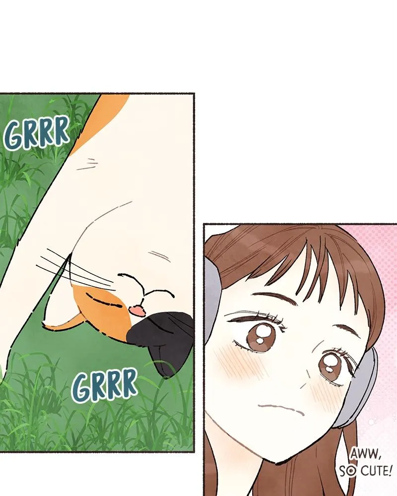 Read Transference Manga Online