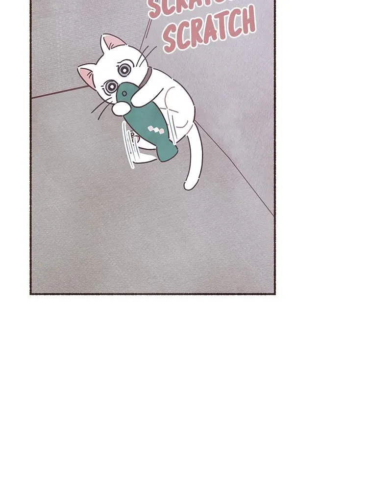 Read Transference Manga Online