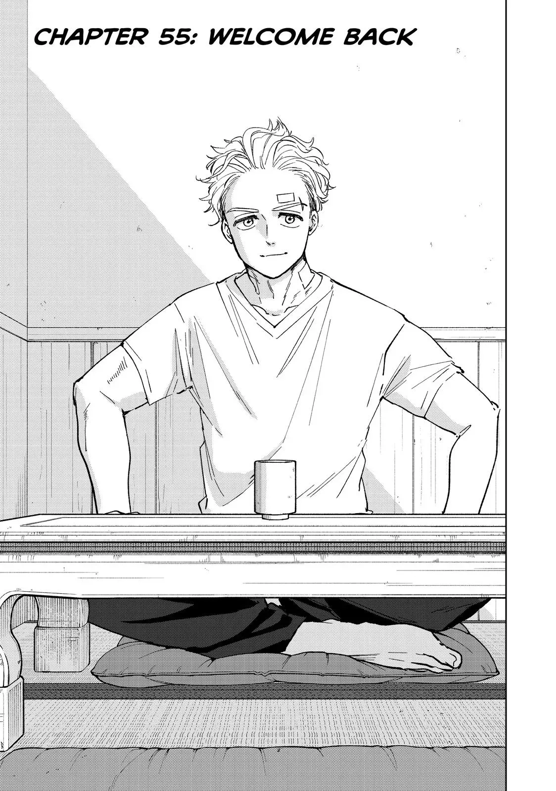 Read Wind Breaker Manga Online
