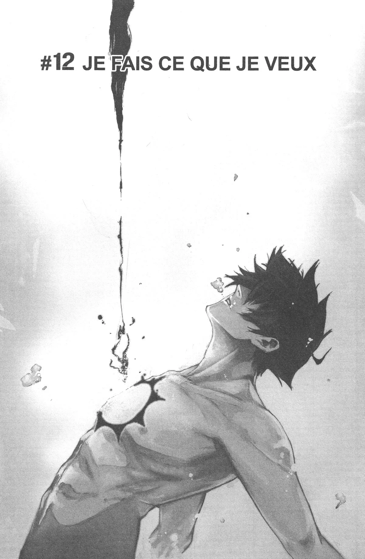 Read Black Torch FR Manga Online