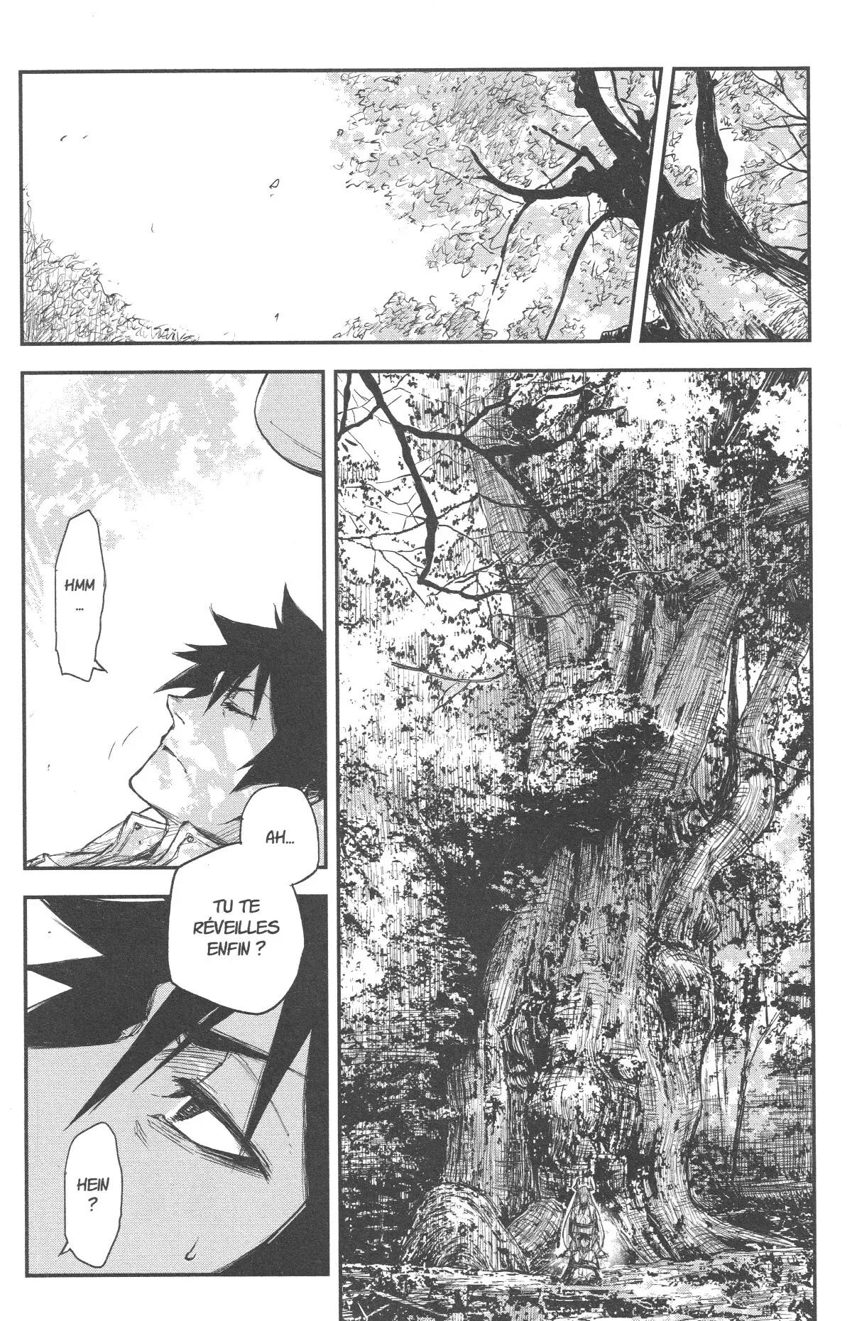 Read Black Torch FR Manga Online