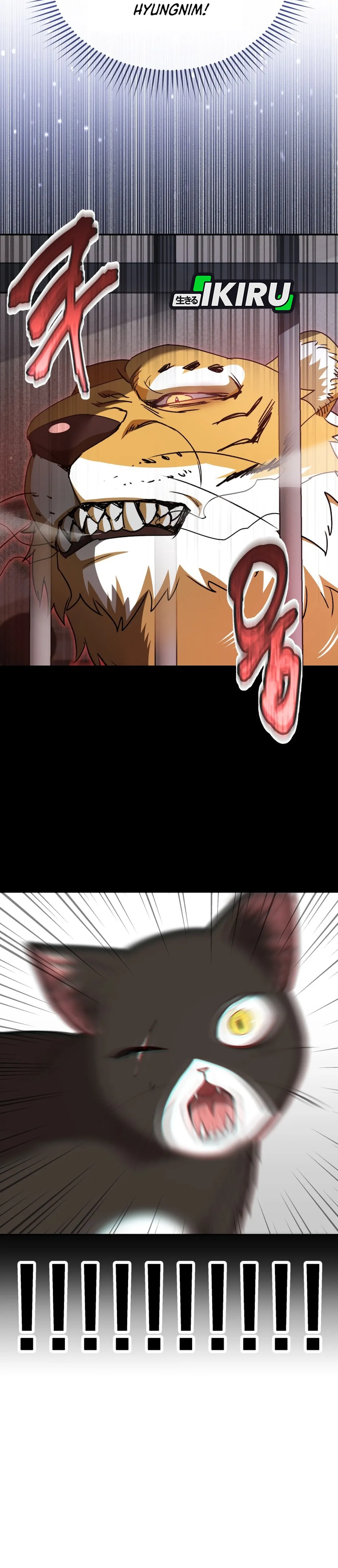 Read Hello Mr. Veterinarian ID Manga Online