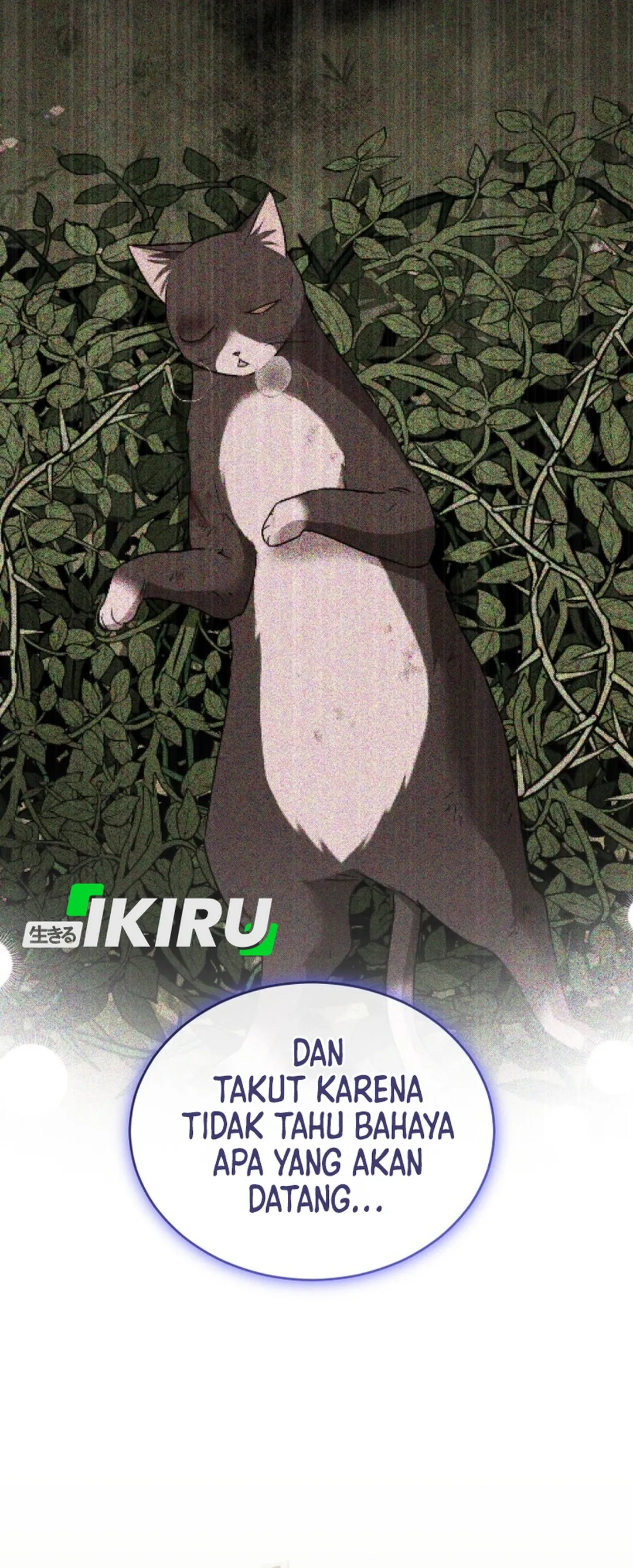 Read Hello Mr. Veterinarian ID Manga Online