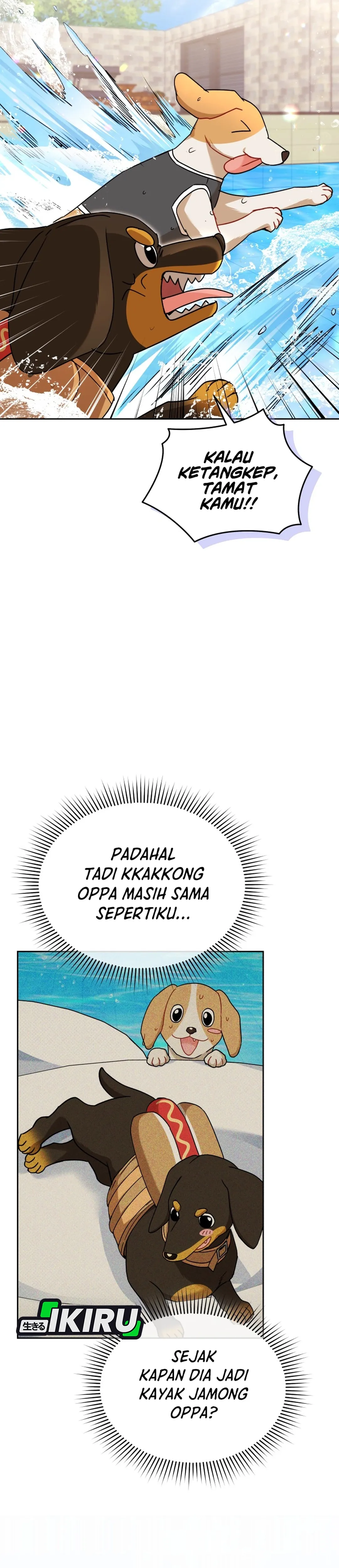 Read Hello Mr. Veterinarian ID Manga Online
