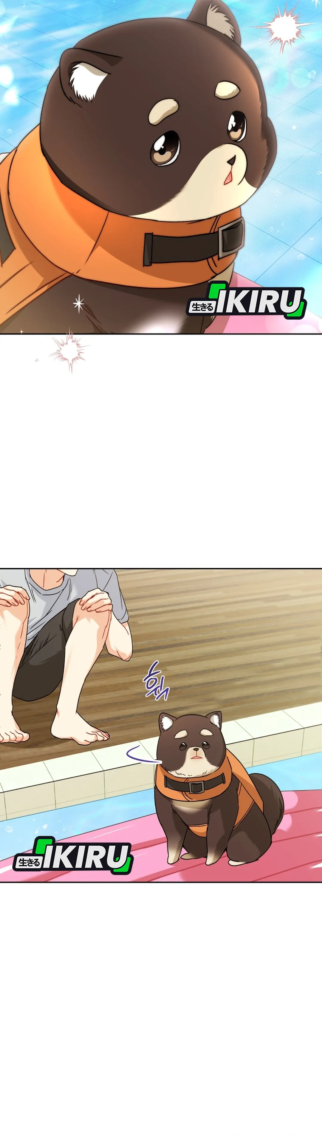 Read Hello Mr. Veterinarian ID Manga Online