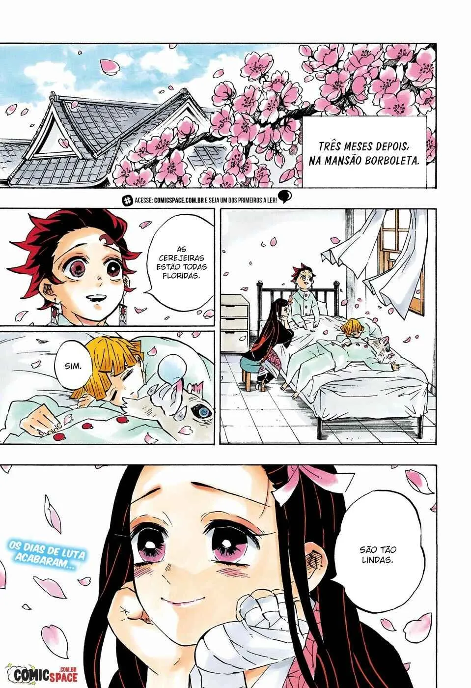 Read Demon Slayer: Kimetsu no Yaiba PT-BR Manga Online