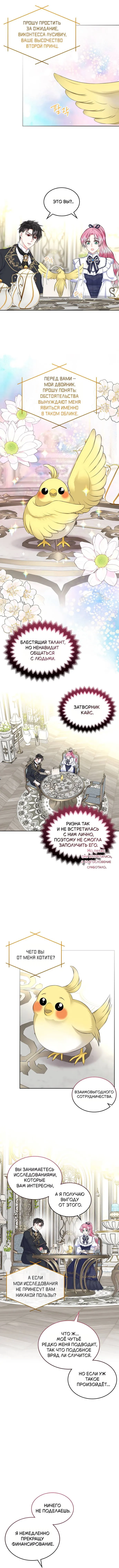 Read Я разведусь со старшим братом главной героини RU Manga Online