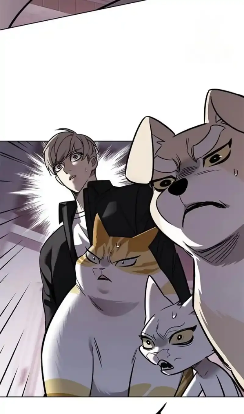 Read Eleceed RU Manga Online